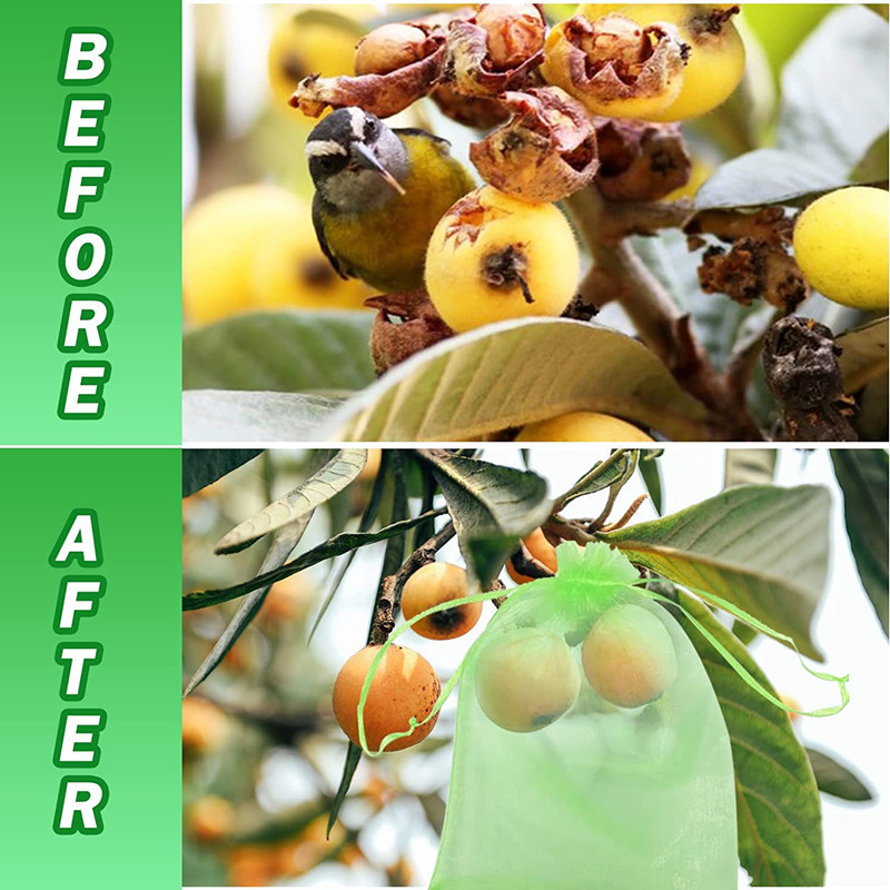 Amazon fruitprotection Bag果物ぶどういちご防虫防鳥ネットバッグ現物|undefined