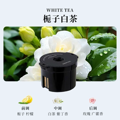 Car Perfume Aromatherapy, New Model of Car Fragrance - gardenia-white-tea-1-incense-box
