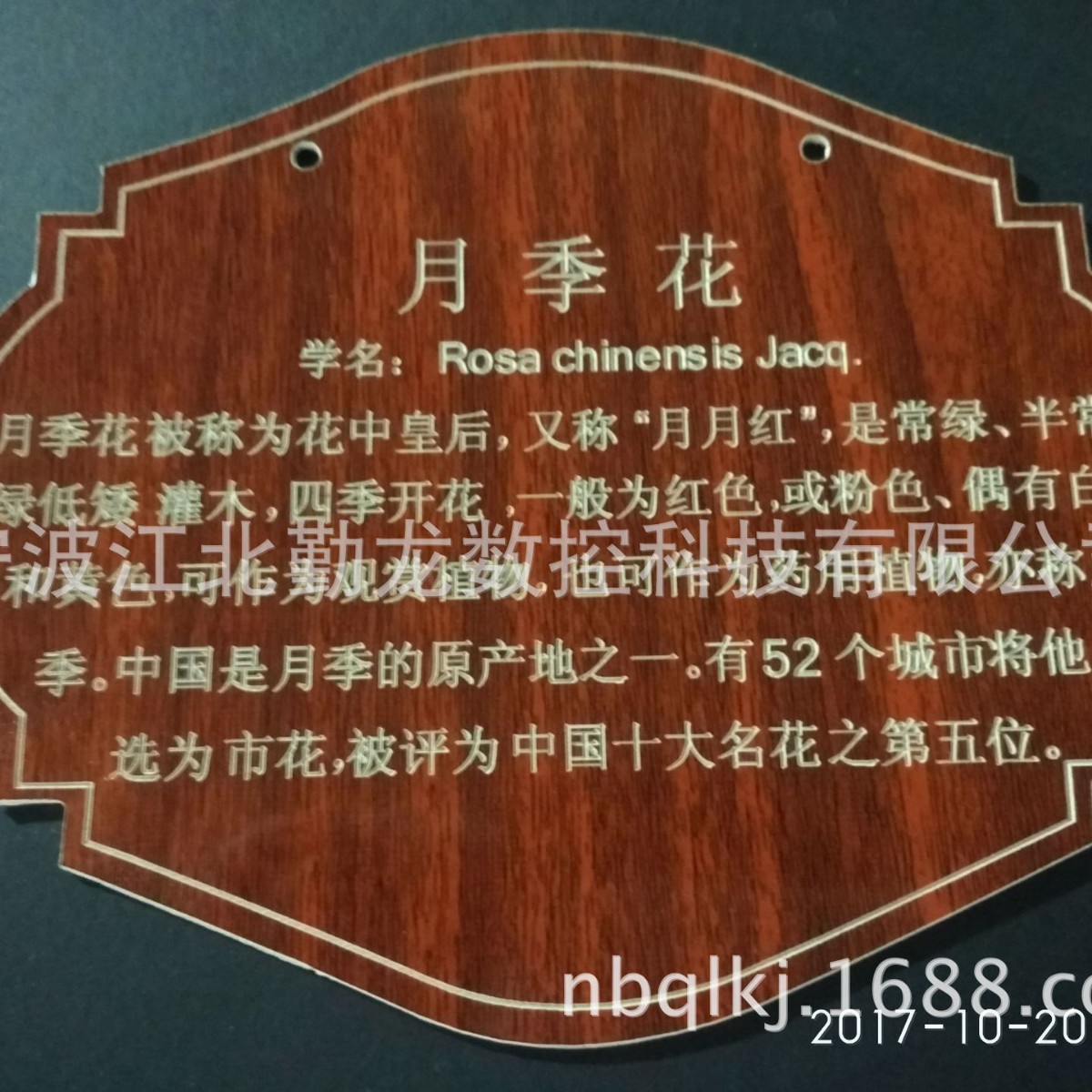 源头工厂厂家直销清明节树牌，校园树牌，科技园区厂区树牌