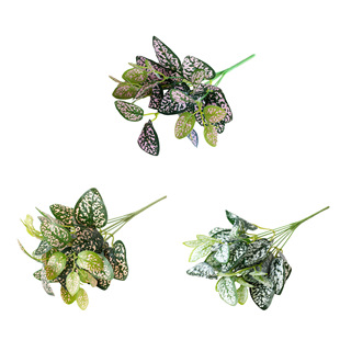 �羳����GֲС���� ���^�~�G�����^ֲ��b�����ҾӔ[�����l