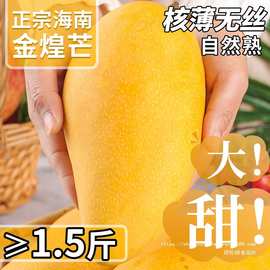 海南金煌芒果10芒果新鲜大果整箱水果当季现摘斤甜心黄皮芒水仙芒