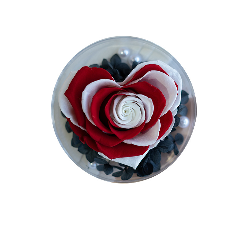 Caja de flores redonda acrílica con rosa eterna, regalo de alta gama para el Día de San Valentín, venta al por mayor de fábrica para comercio exterior de Amazon.