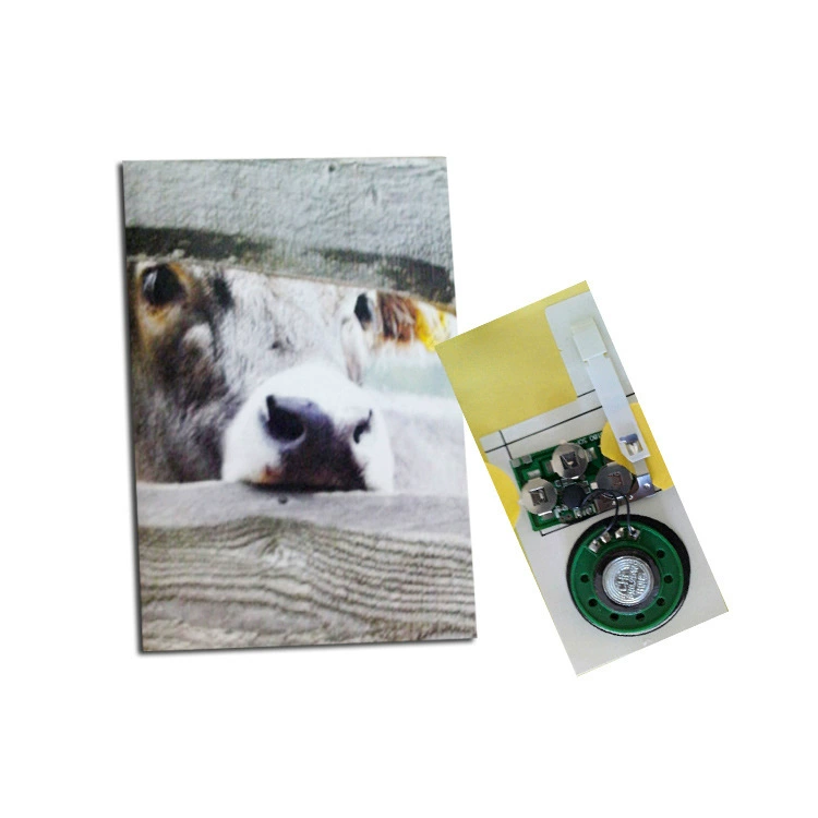 Музыкальная памятная универсальная детская открытка другу, индивидуальный заказ, подарок на день рождения, издает звуки