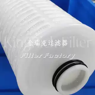 P90-220-AN-10E 天然气过滤器滤芯 聚结分离滤芯