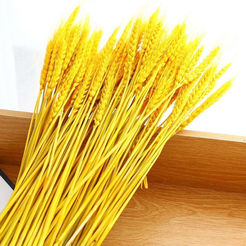 Cesta de flores de cebada abierta en el centro comercial, alegría de la vivienda, ramo de espigas de oro, decoración, props de disparo, flores secas, trigo