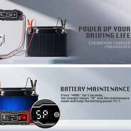1个 颜色：图片色 材质：金属+塑料 欧规 欧规AC220V 12V 4A 电池