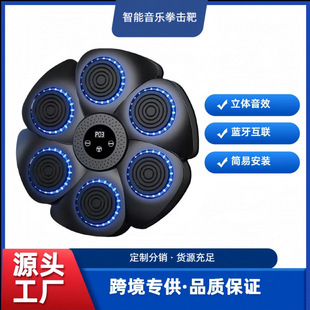 Cross-Border Adult Smart Hanging Boxing Machine Kidsren's Trainer Home Boxing Wall Target Boxing Target Bluetooth Music