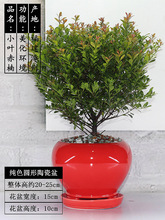 ʯ���辰���;��^���@С�~�辰�Ϙ������҃��̨�ͺ��Gֲ��������