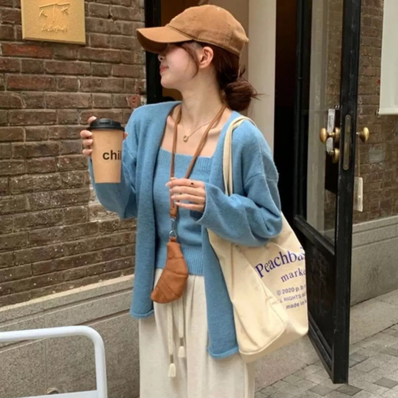 蓝色长袖软糯针织开衫女秋季2025新款韩系宽松慵懒风毛衣两件套|undefined