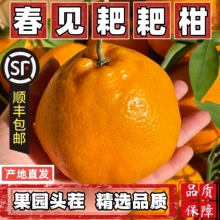 �ָ̰ҰҸ�5��9�����rˮ�����䮔���������Ӹ��ٽ��ӽ���ɰ���ָ�