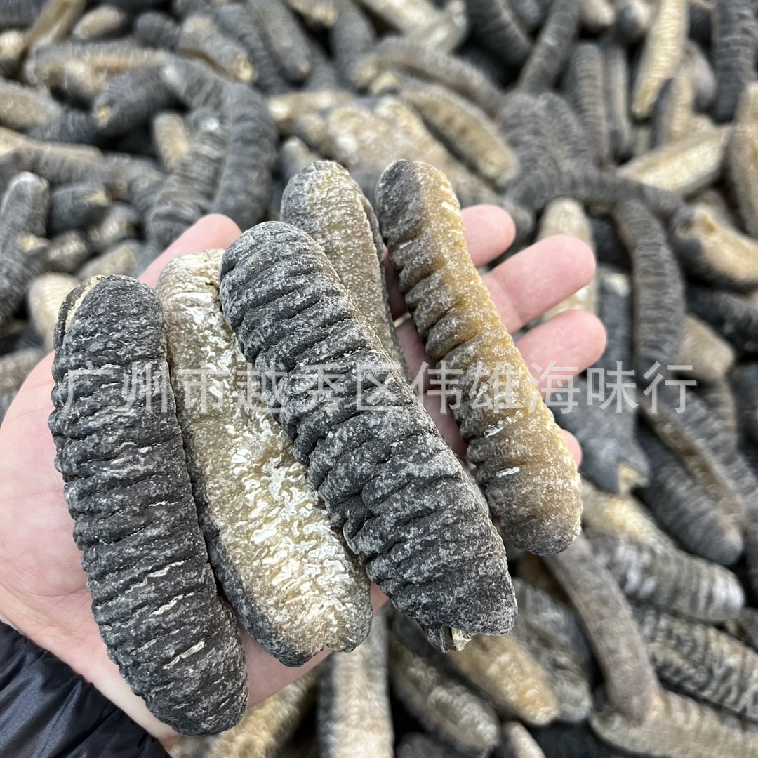 一手货源精选货明秃参 光秃参澳洲明秃海参深海淡干海参干货