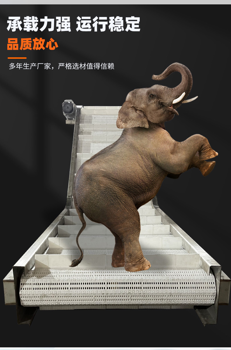 塑料网带输送机_05.jpg