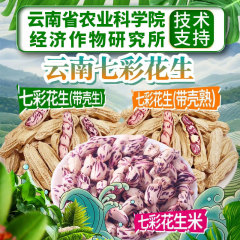 雲南七彩野地花生帶殼熟花生新鮮黑花生米孟連五彩花生米種子批發