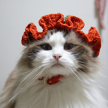 ?�¿�R�d�����^��؈�乷������ñ��׃�b�����^ɐ�׃��ñ��