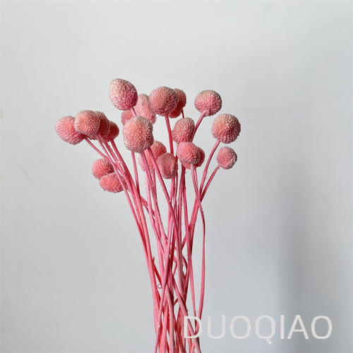 Gold Ball Everlasting Flower Bouquet Preserved Real Flowers DIY Flowering Material, Matching Flowers and Grass Home Decor Ornament DIY