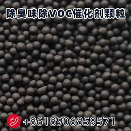 其他催化剂;滤芯