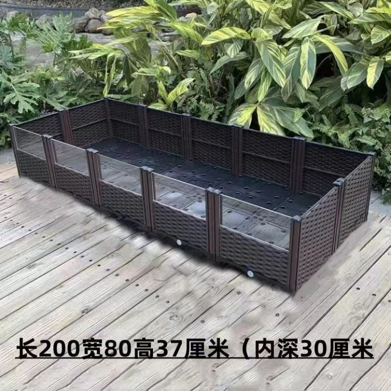 黄縁亀飼育箱、安源台縁閉甲亀苗、造園植物生態環境、亀専用槽飼育箱|undefined