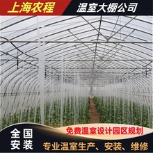 单体蔬菜大棚 上海温室设备 单体塑料大棚 加工