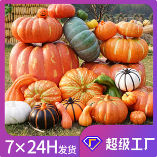 �Ĕz�b������b����߷�����Ϲϻ����c�Ϲ��f�}���ϹϷ����Ϲ�