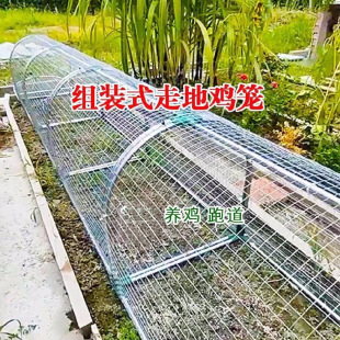 铁网鸡笼兔笼跑道养鸡隧道笼子农场户外溜达鸡笼子庭院农家用散养-阿里巴巴