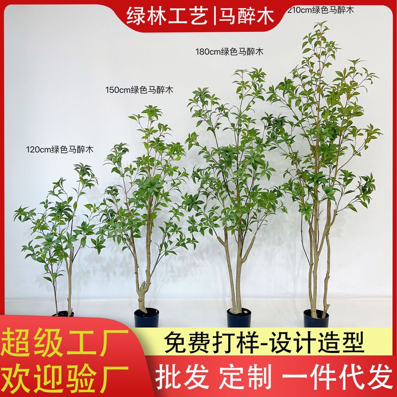 シミュレーション馬酔木着地鉢植え緑植物室内ショーウインドー造景装飾日本吊鐘ネット赤緑植|undefined