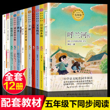 mӂ꼉xnώ]ZĽ̿ƕͬxϵ