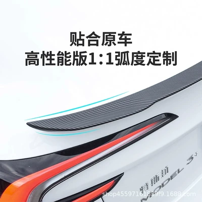 Version High-Performance P Version Rear | Fixed wind wing