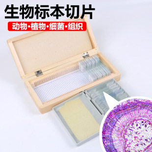 ������Ƭ�����bƬ���w�Ĵ�M������Ƥ�Y�������ǻֲ�：��