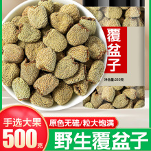 șƬˮݲҰPș500gƷٷŞ