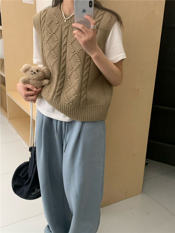 高级感麻花纹理圆领毛衣马甲女秋冬新款宽松叠穿针织背心上衣外穿|undefined