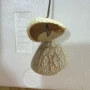 植物手工娃娃半成品风铃