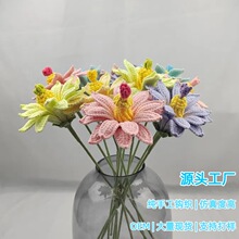 �F؛ �羳���ɏ�����ֹ��h��ѩ����ë������������滨�Ƶ��b�