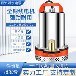 ֱ����ˮ��12v24v48V60V72���ƿ늄�܇��ˮ��С���r���ȳ�ˮ�C