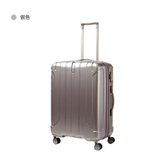 新秀丽拉杆箱20/24/可扩旅行箱行李箱专柜同款AY8 银色 20寸