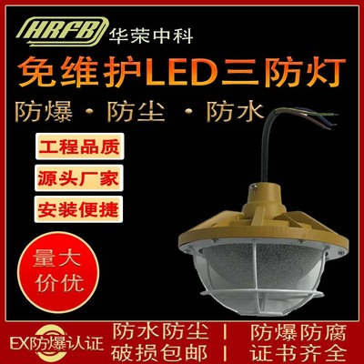 Светодиодный промышленный взрывобезопасный светильник, 50W, 100W