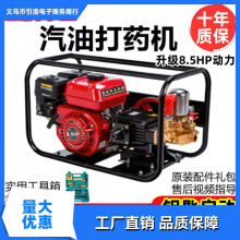 ؑcʹșCrø߉늆ě_¿@ևF