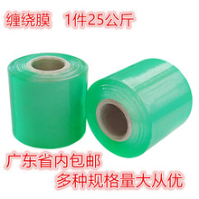 �Gɫ�p�@Ĥ늾�Ĥ���Ĥ���ϰ��bĤ�޽�Ĥ��Ĥ͸��С������Ĥ