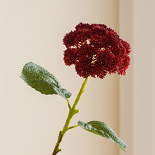 ���ӹ�����˻�ܛ�z���⽑�����ˇ�廨�����辰�[���bٻ�