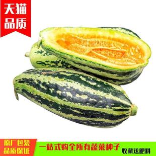 Spring Three-Leaf Flower Crispy Melon Seeds, Early-Maturing Flower-Skinned Crispy Melons, Crispy Melons, Thin-Skinned Vegetable Melon Seeds, High Yield and Thick Flesh