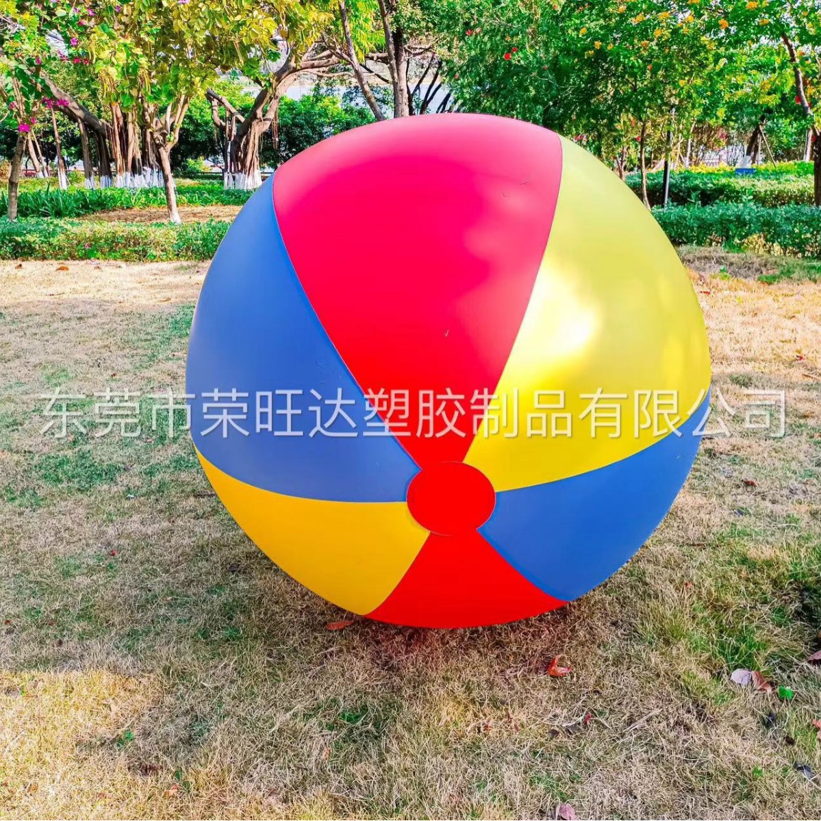 高品质 PVC 充气沙滩球 直径100cm坚韧耐用户外草地沙滩派对必备