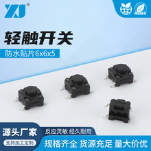 ˮNƬ6x6x5ˮ_p|_P΢С΢С_PI_Po