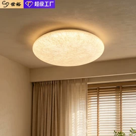 吸顶灯;吊灯;风扇灯