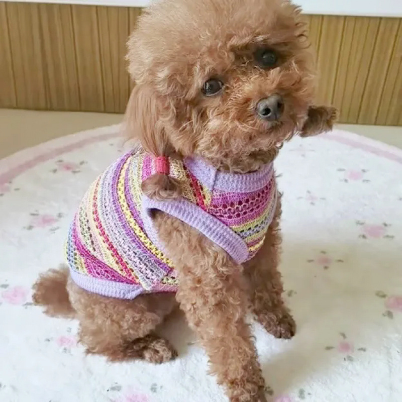 Ropa para perros mascotas gatos Teddy Boomerang pequeña princesa encantadora que oso hueco chaleco encantador puede ser traído