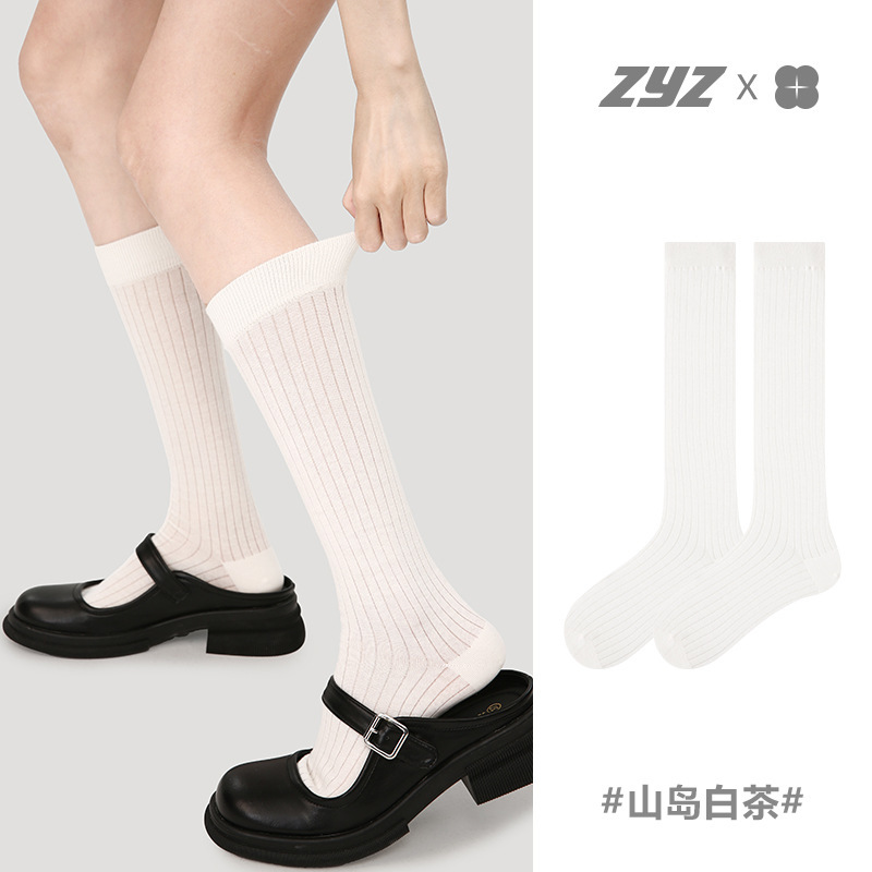 Renaissance versatile college wind stockings sports mesh breathable women's socks spring and summer new anti-mosquito socks pure white