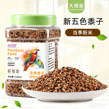 �B�àI�B�Z��Ƥ���Bĵ�����P������ϻ���B�Z�W�^��ɫ���ӼZʳ