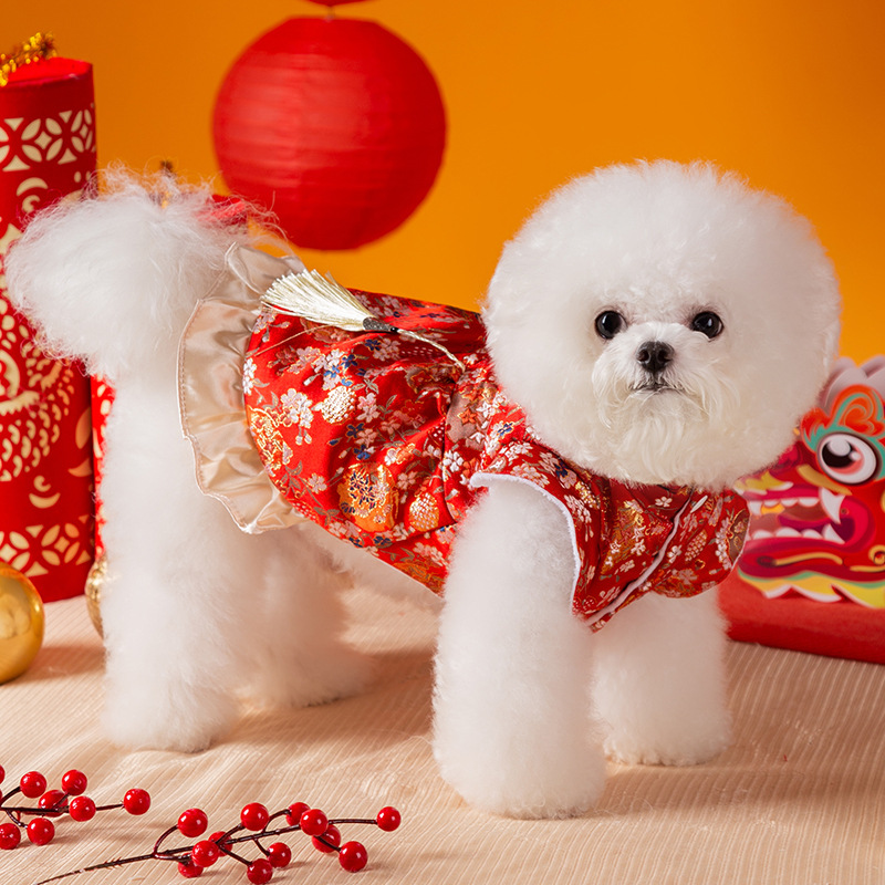 Otoño e invierno perro cien flores borlas vestido de traje Tang gato de dos pies año nuevo festivo año nuevo falda ropa para mascotas