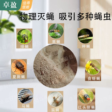 �nω�T�D���nωω�������������T�D���lˮ�����nω�T�D--30g