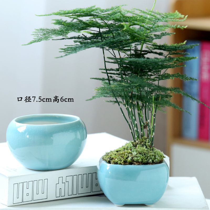 【6个6色】多肉花盆陶瓷创意简约个性小清新流釉阳台多肉花盆|undefined