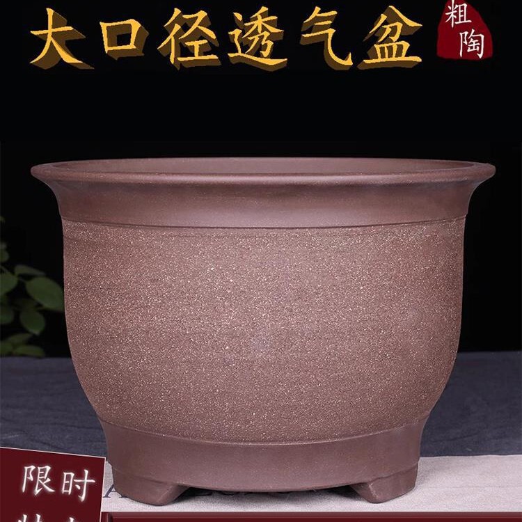 Yixing Purple Clay and Orchid Flower Pot Coarse Pottery Flower Pot Large Special Price Fleshy Flower Pot Balcony Vegetable Pot Ceramic Flower Pot