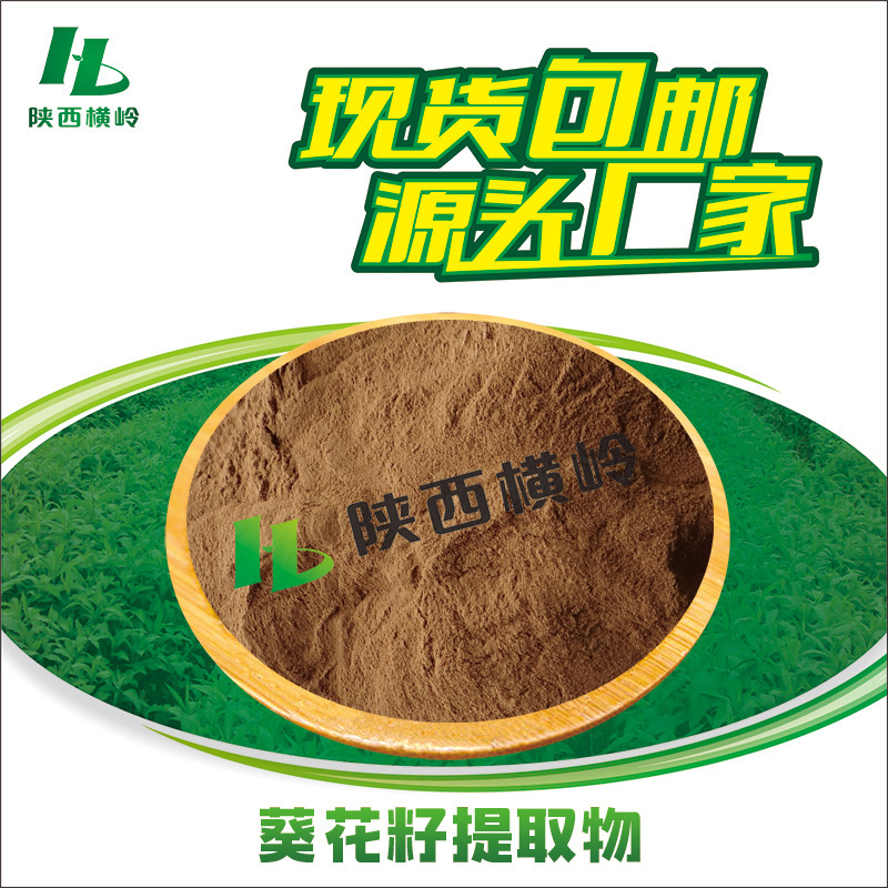 Sunflower Seed Extract 30:1 50:1 High Ratio Sunflower Seed Powder Plant-Based Sunflower Seed Protein Water-Soluble